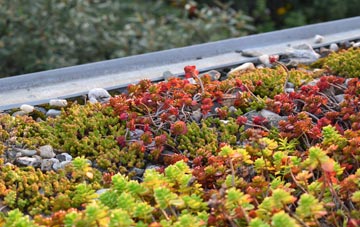 the cost of Freester green roof installation