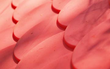 Freester plastic roof costs