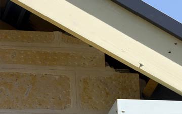soffit repair Freester