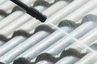 rated Freester roof cleaning companies